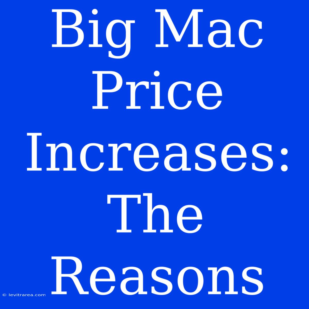 Big Mac Price Increases: The Reasons