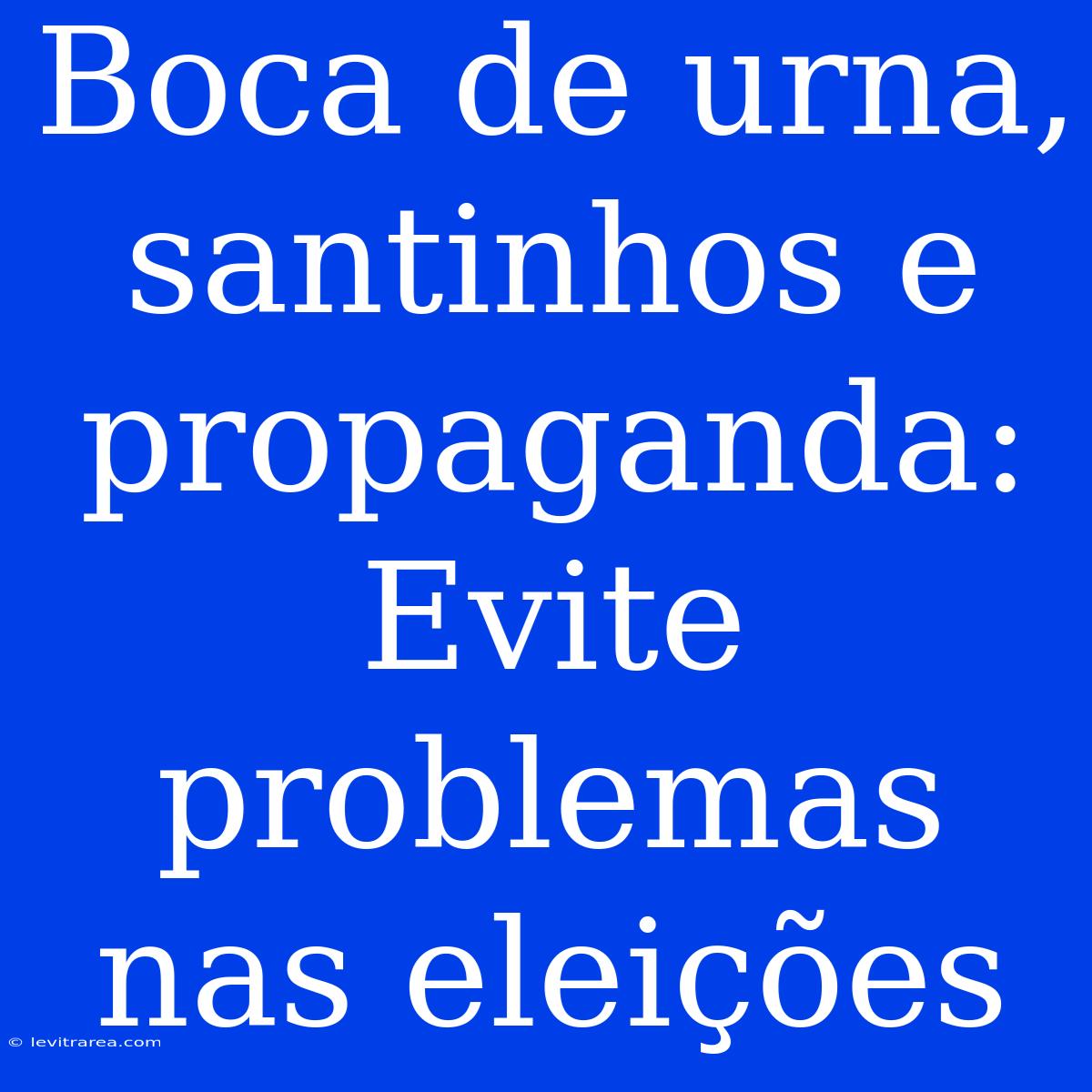 Boca De Urna, Santinhos E Propaganda: Evite Problemas Nas Eleições