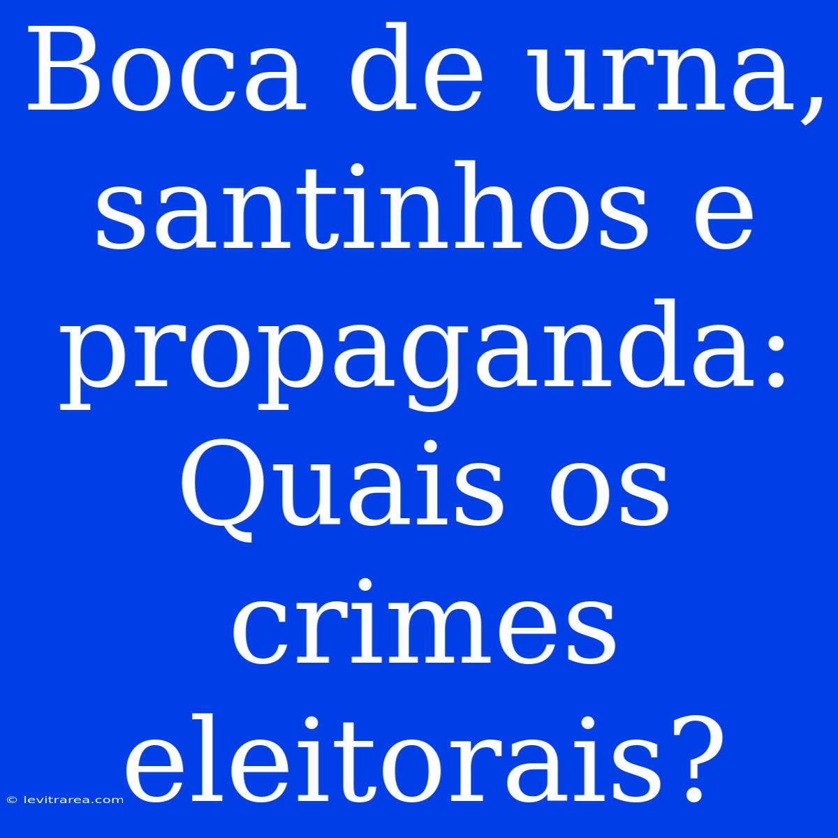 Boca De Urna, Santinhos E Propaganda: Quais Os Crimes Eleitorais?