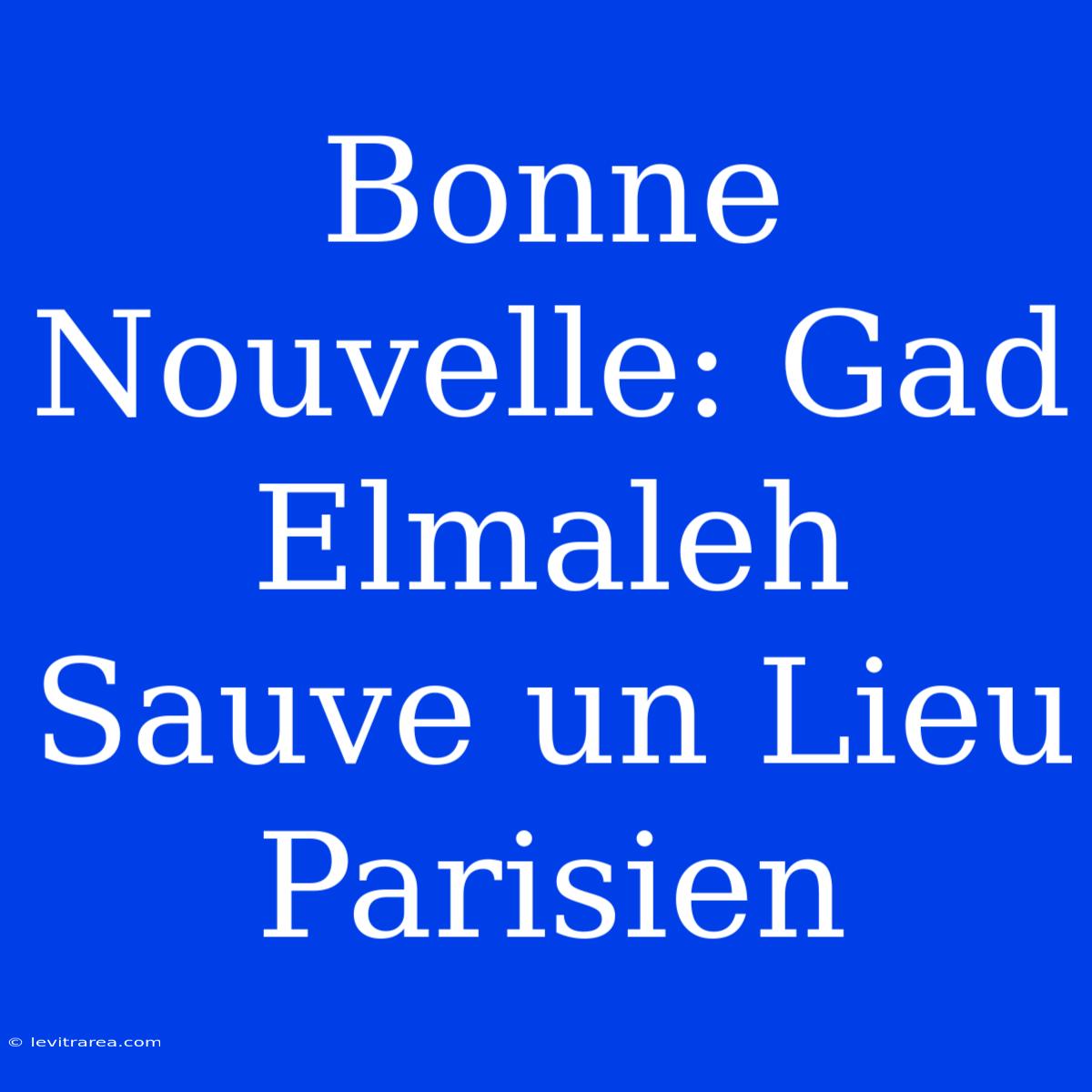 Bonne Nouvelle: Gad Elmaleh Sauve Un Lieu Parisien