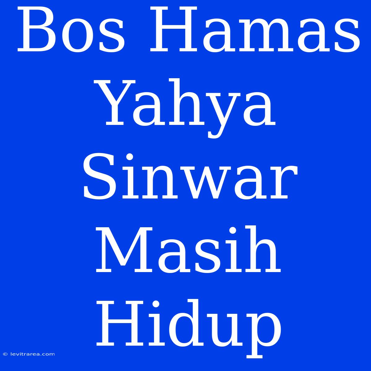 Bos Hamas Yahya Sinwar Masih Hidup