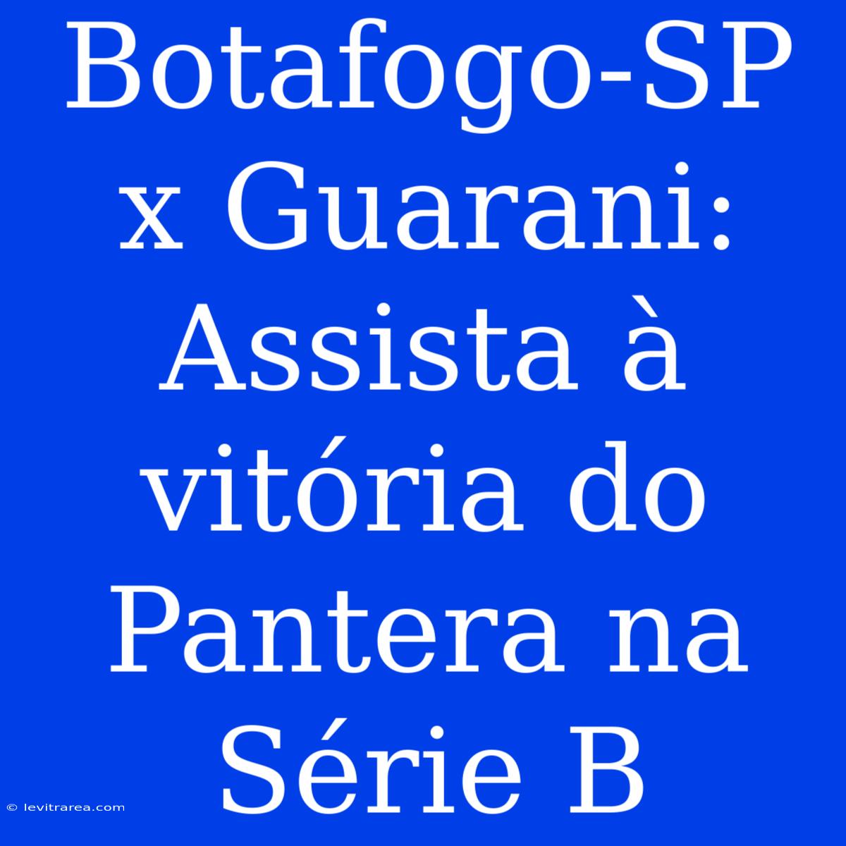 Botafogo-SP X Guarani: Assista À Vitória Do Pantera Na Série B 