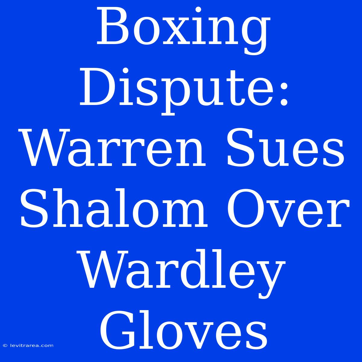 Boxing Dispute: Warren Sues Shalom Over Wardley Gloves