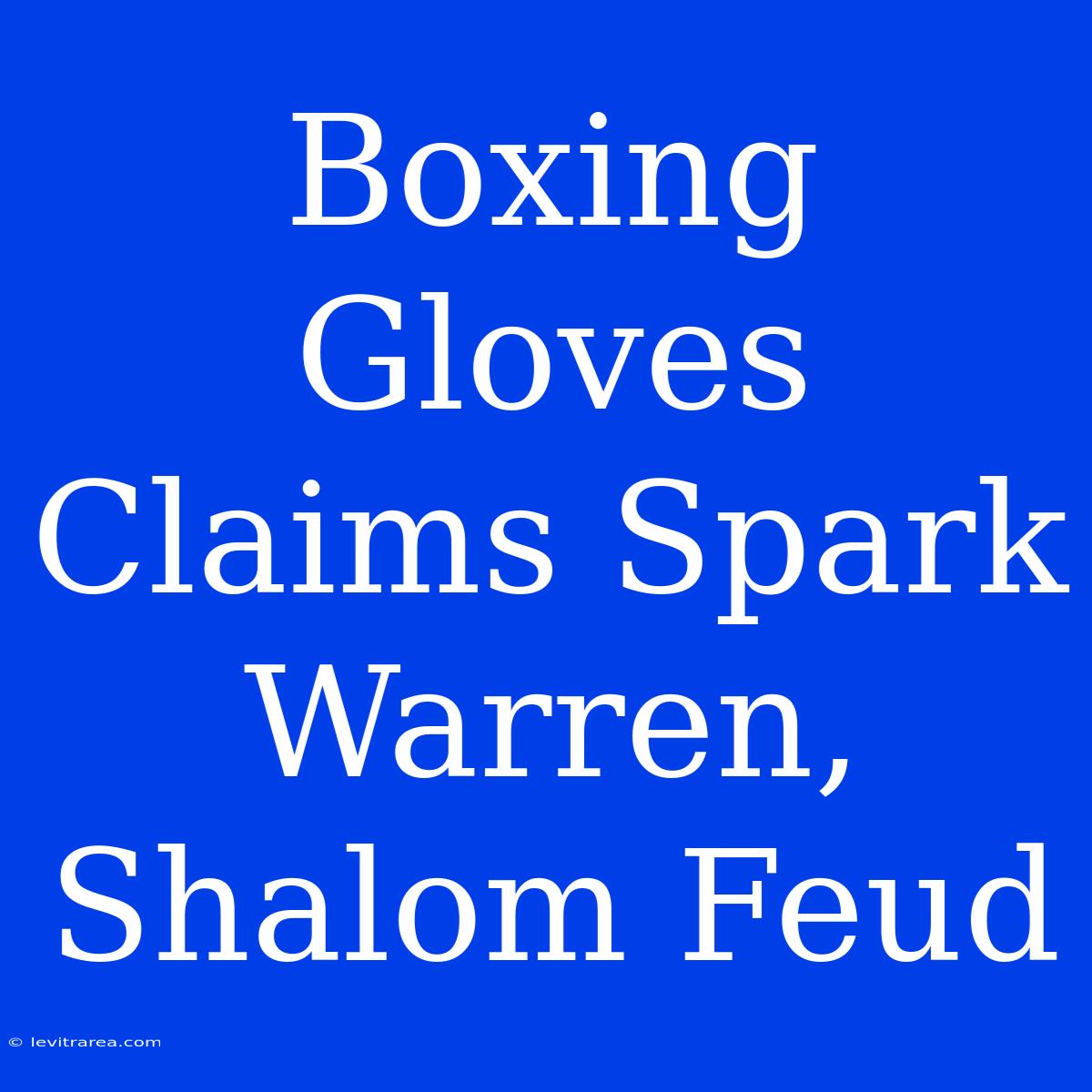 Boxing Gloves Claims Spark Warren, Shalom Feud