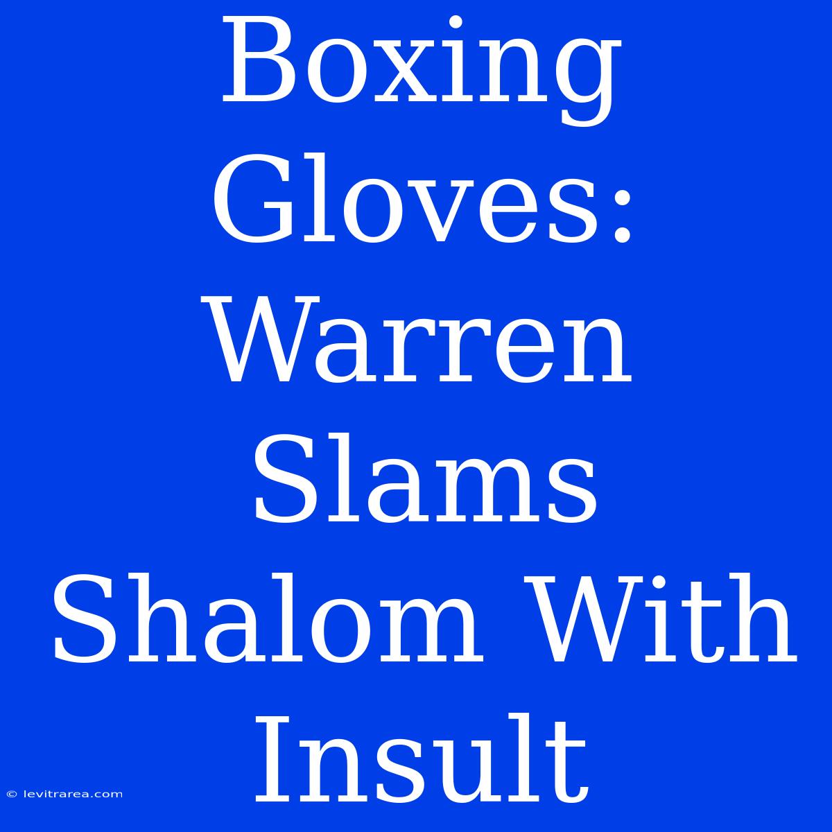 Boxing Gloves: Warren Slams Shalom With Insult