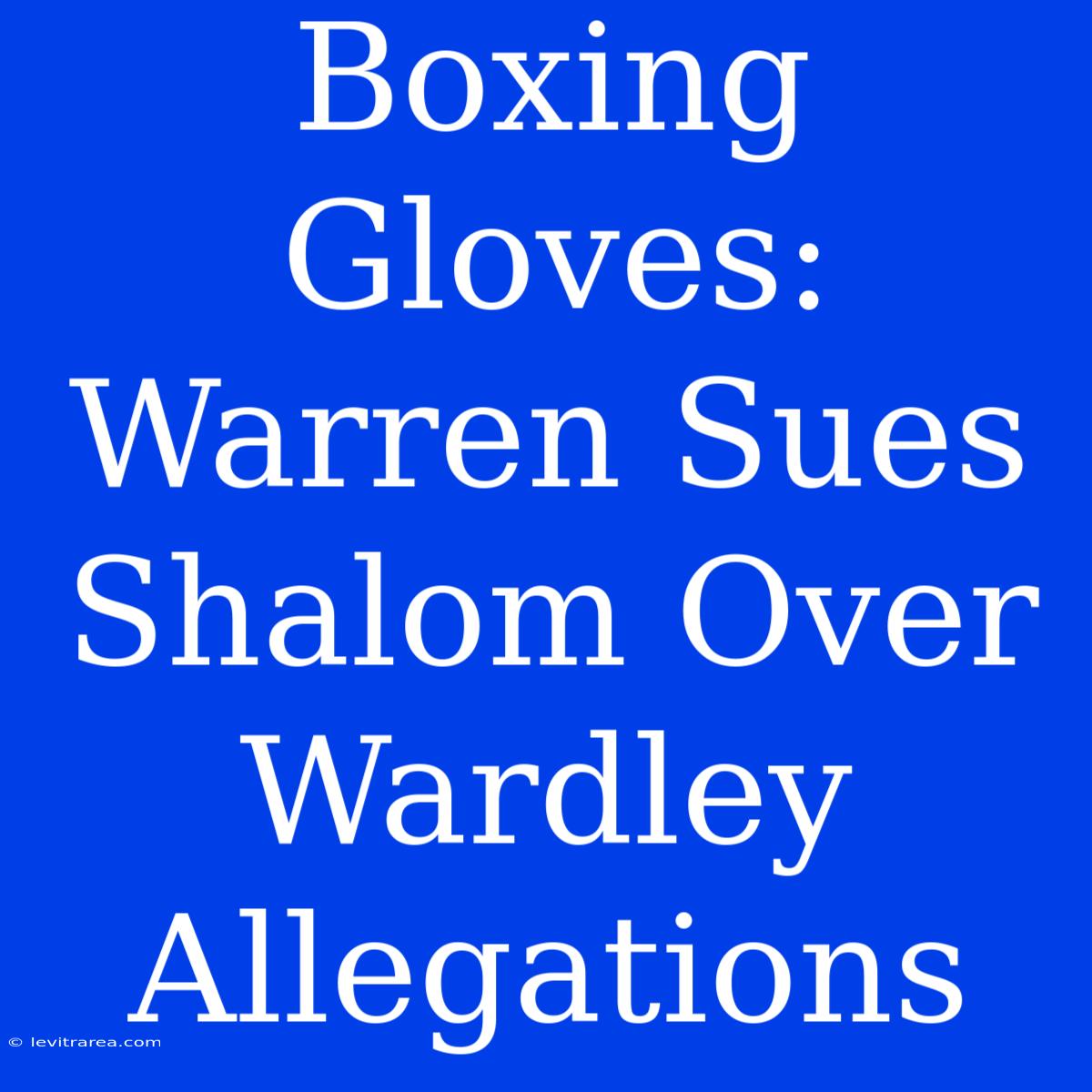 Boxing Gloves: Warren Sues Shalom Over Wardley Allegations 