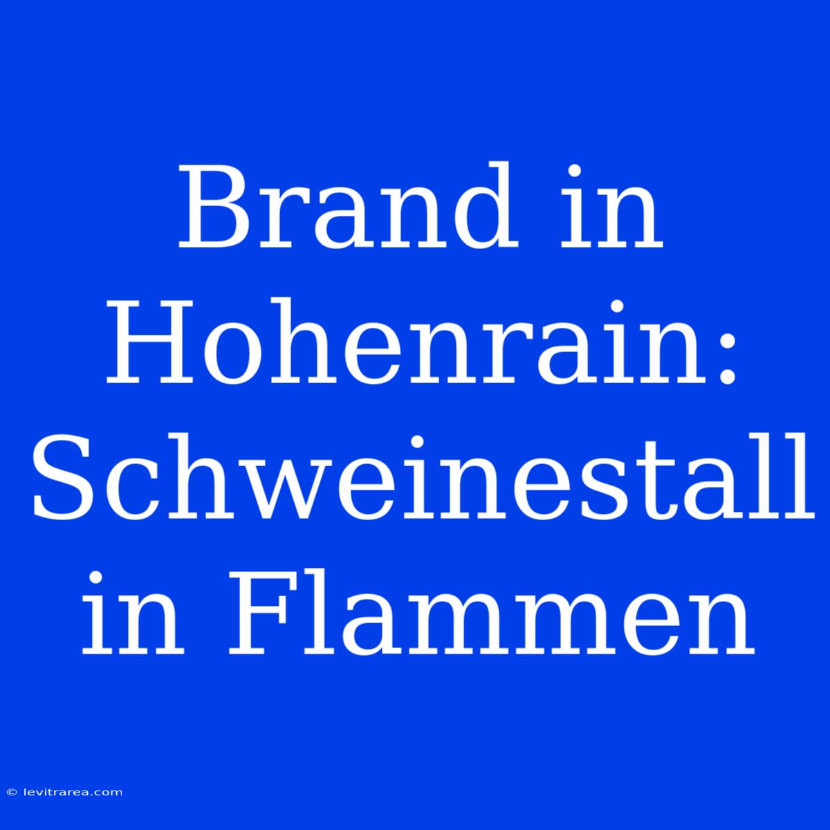 Brand In Hohenrain: Schweinestall In Flammen