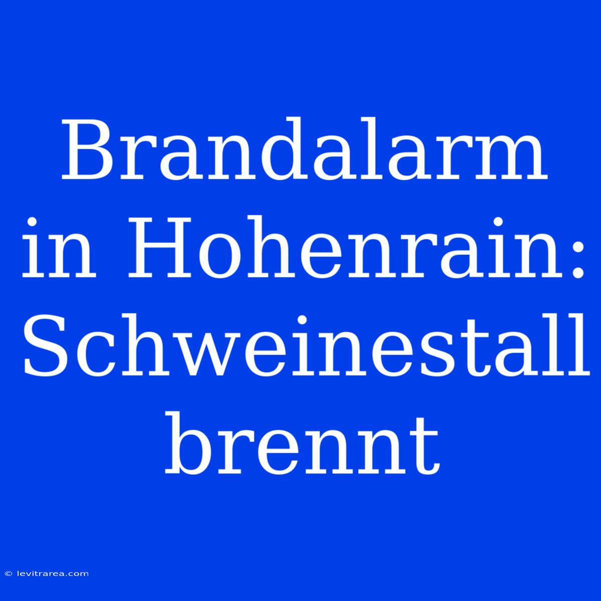 Brandalarm In Hohenrain: Schweinestall Brennt