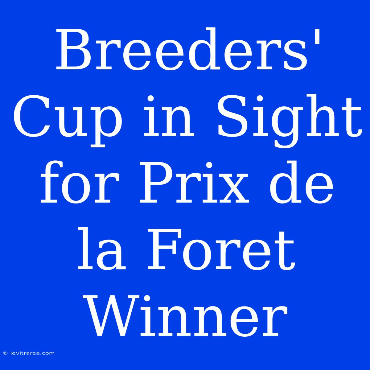 Breeders' Cup In Sight For Prix De La Foret Winner 