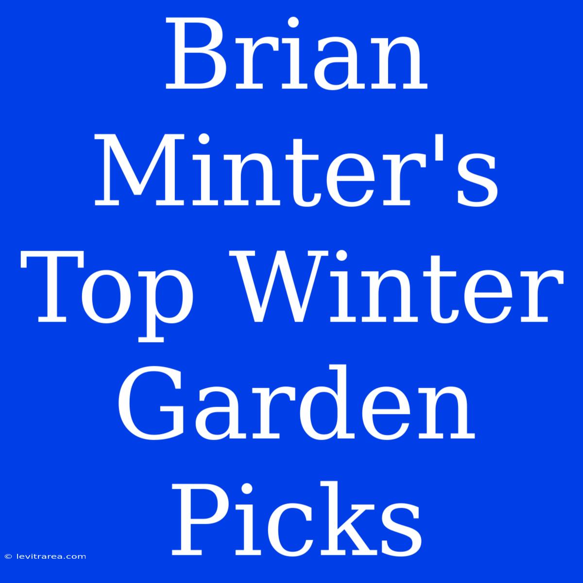 Brian Minter's Top Winter Garden Picks