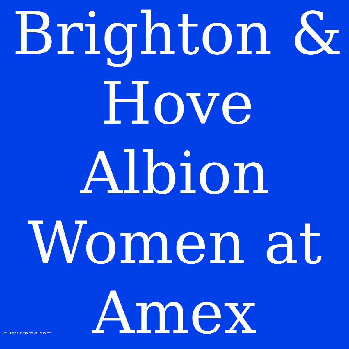 Brighton & Hove Albion Women At Amex 