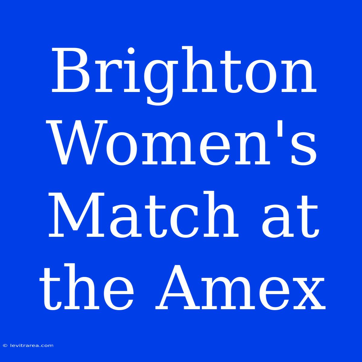 Brighton Women's Match At The Amex