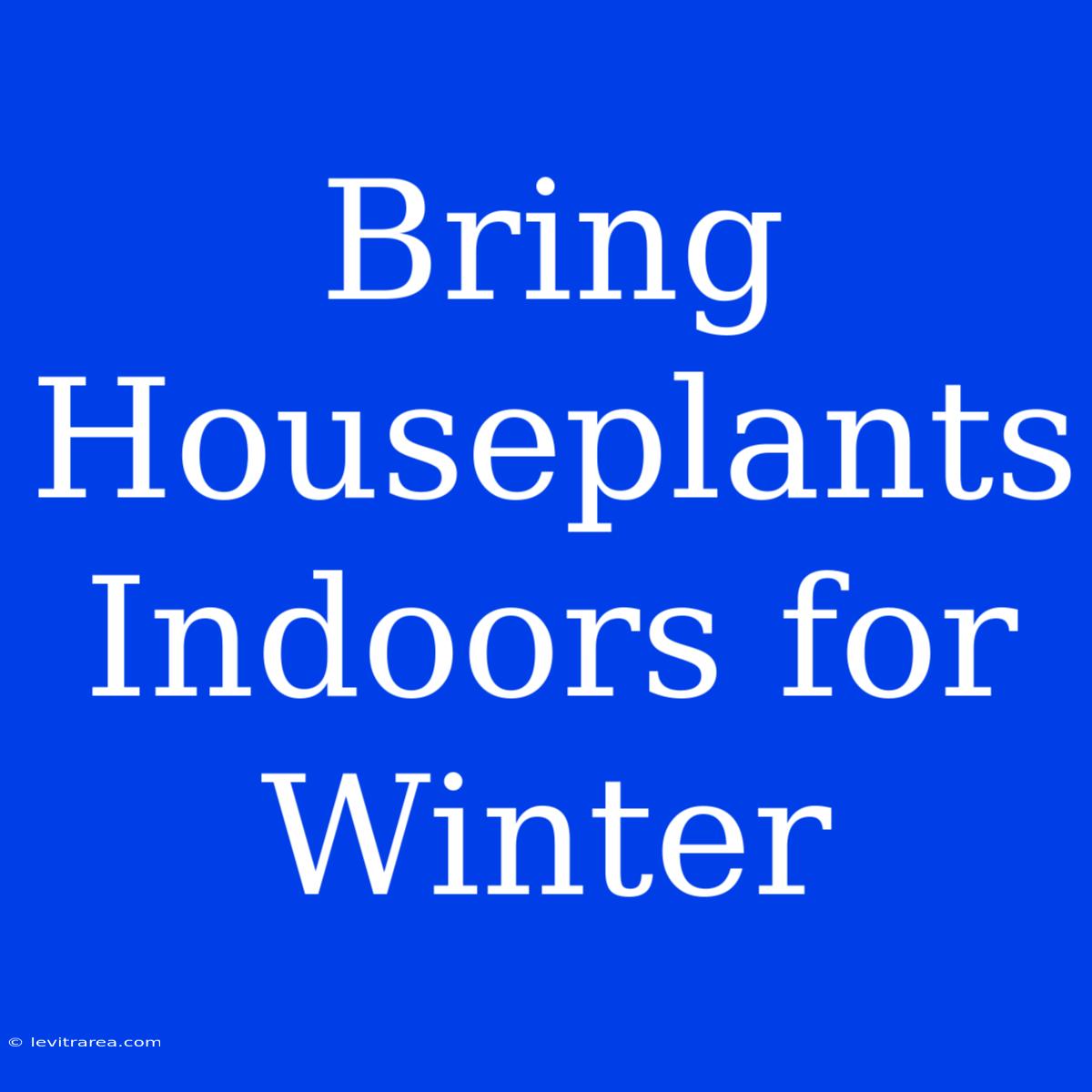 Bring Houseplants Indoors For Winter