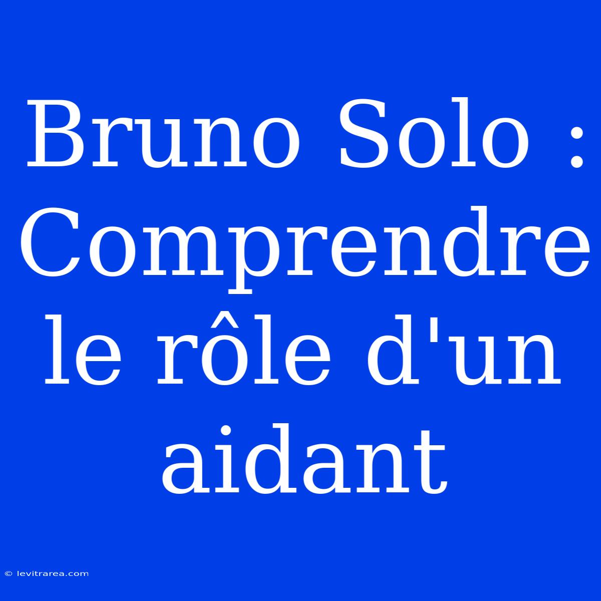 Bruno Solo : Comprendre Le Rôle D'un Aidant