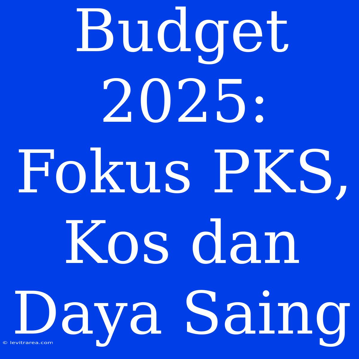 Budget 2025: Fokus PKS, Kos Dan Daya Saing