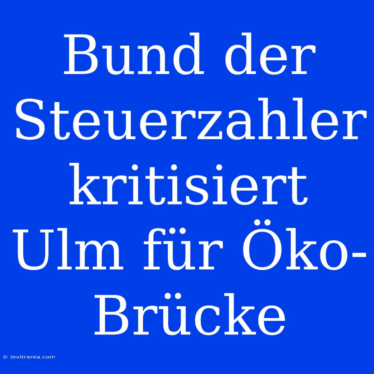 Bund Der Steuerzahler Kritisiert Ulm Für Öko-Brücke