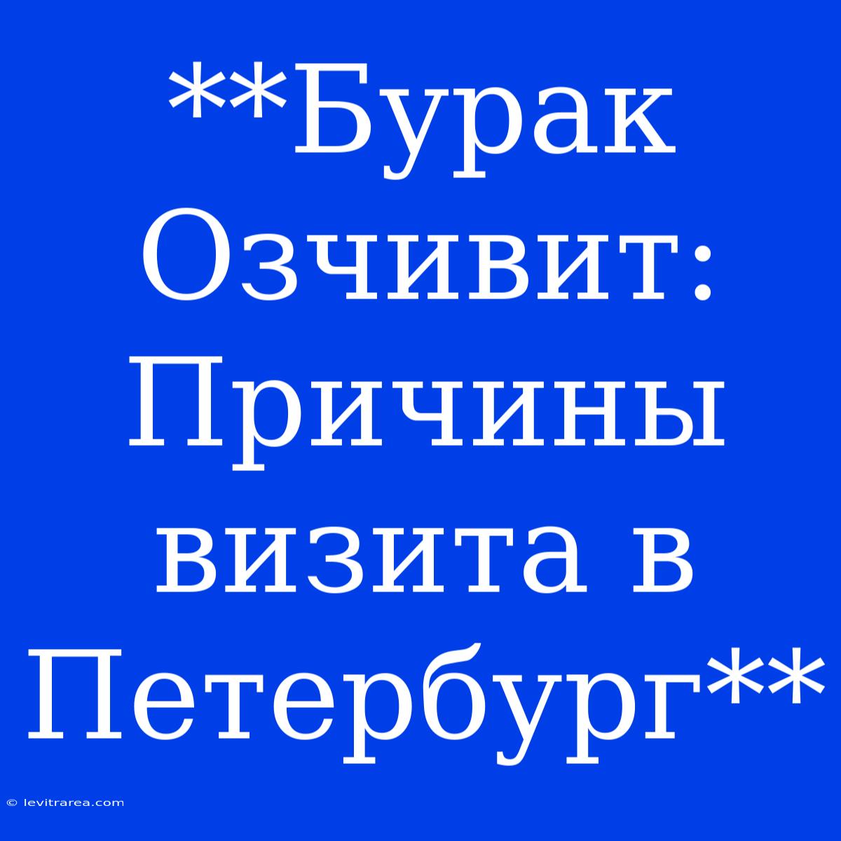 **Бурак Озчивит: Причины Визита В Петербург**