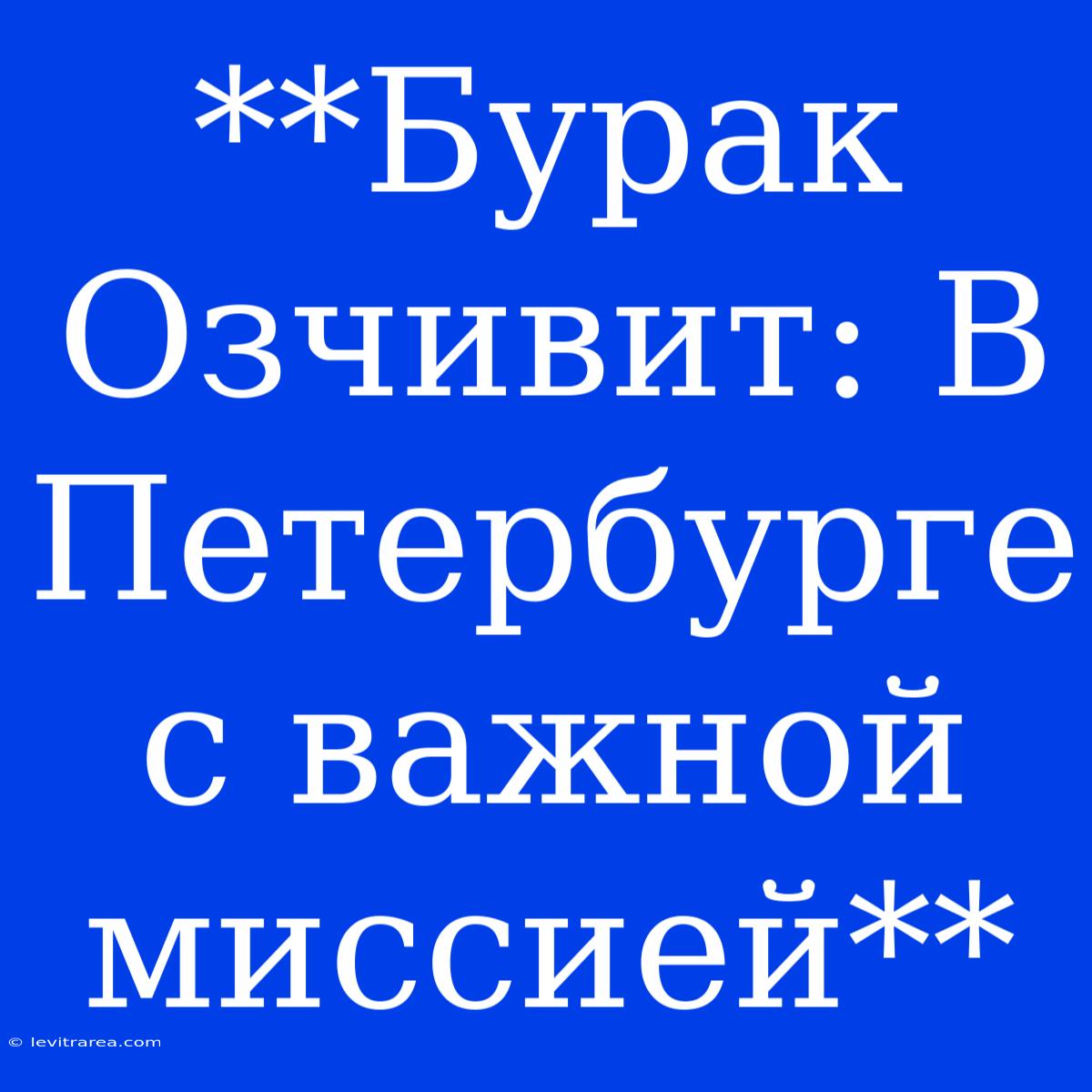 **Бурак Озчивит: В Петербурге С Важной Миссией**