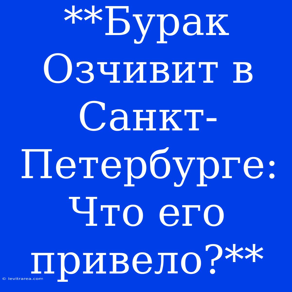 **Бурак Озчивит В Санкт-Петербурге: Что Его Привело?**