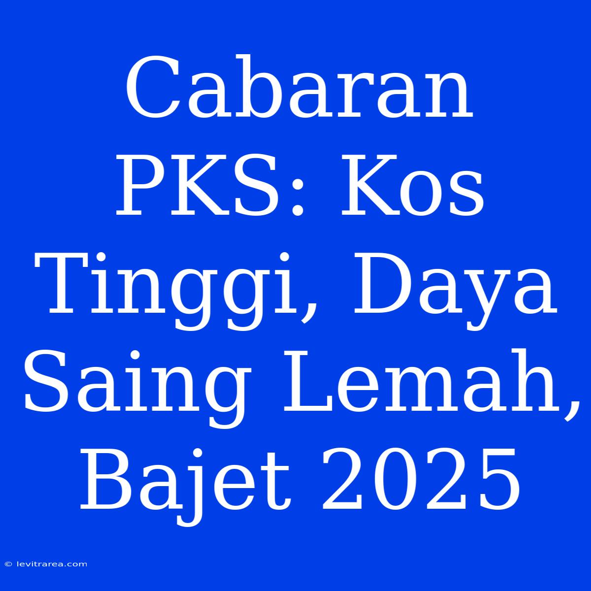 Cabaran PKS: Kos Tinggi, Daya Saing Lemah, Bajet 2025