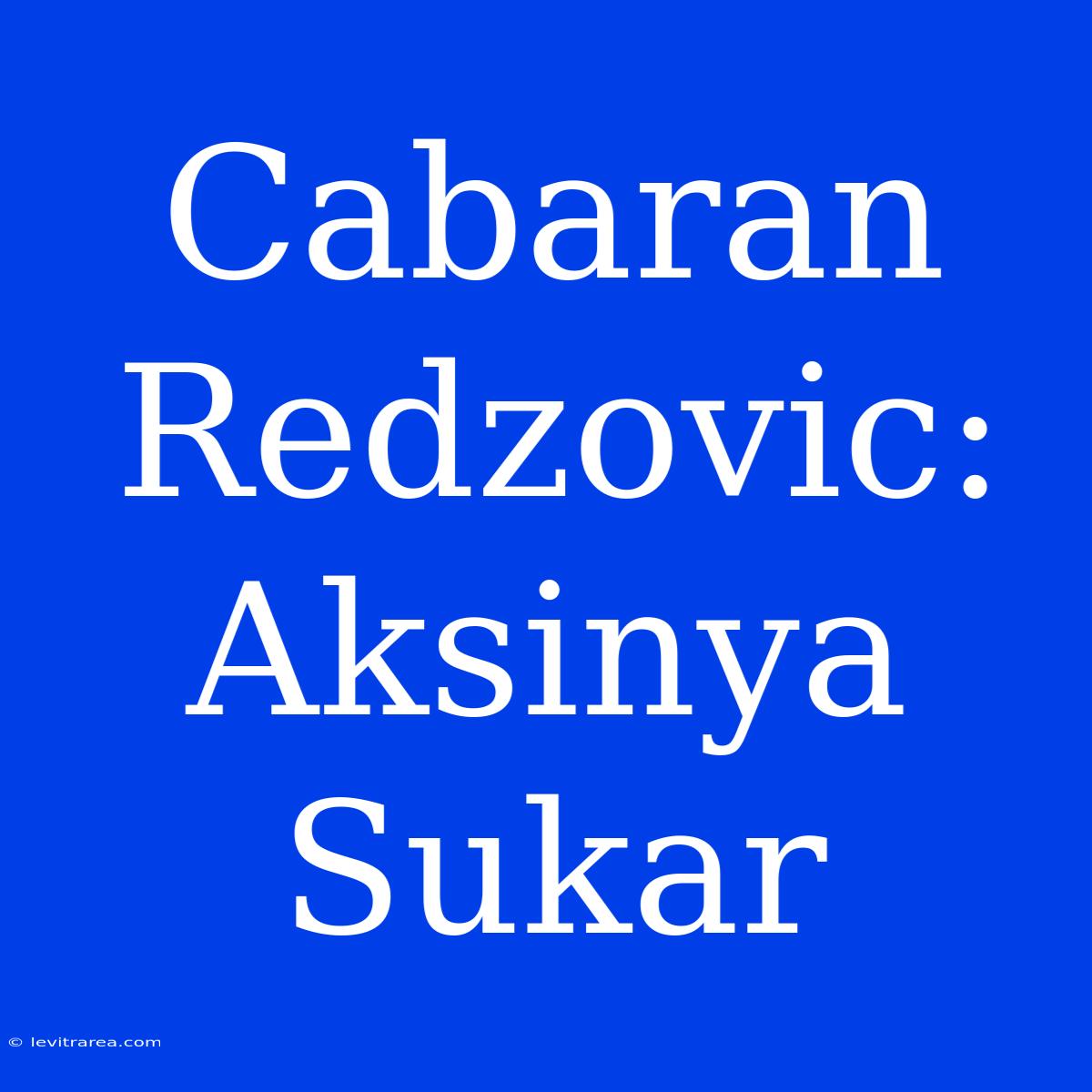 Cabaran Redzovic: Aksinya Sukar