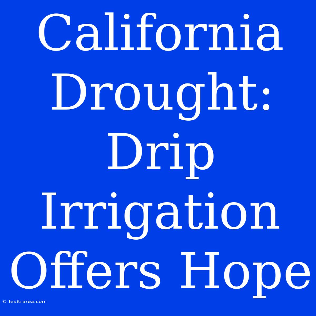 California Drought: Drip Irrigation Offers Hope