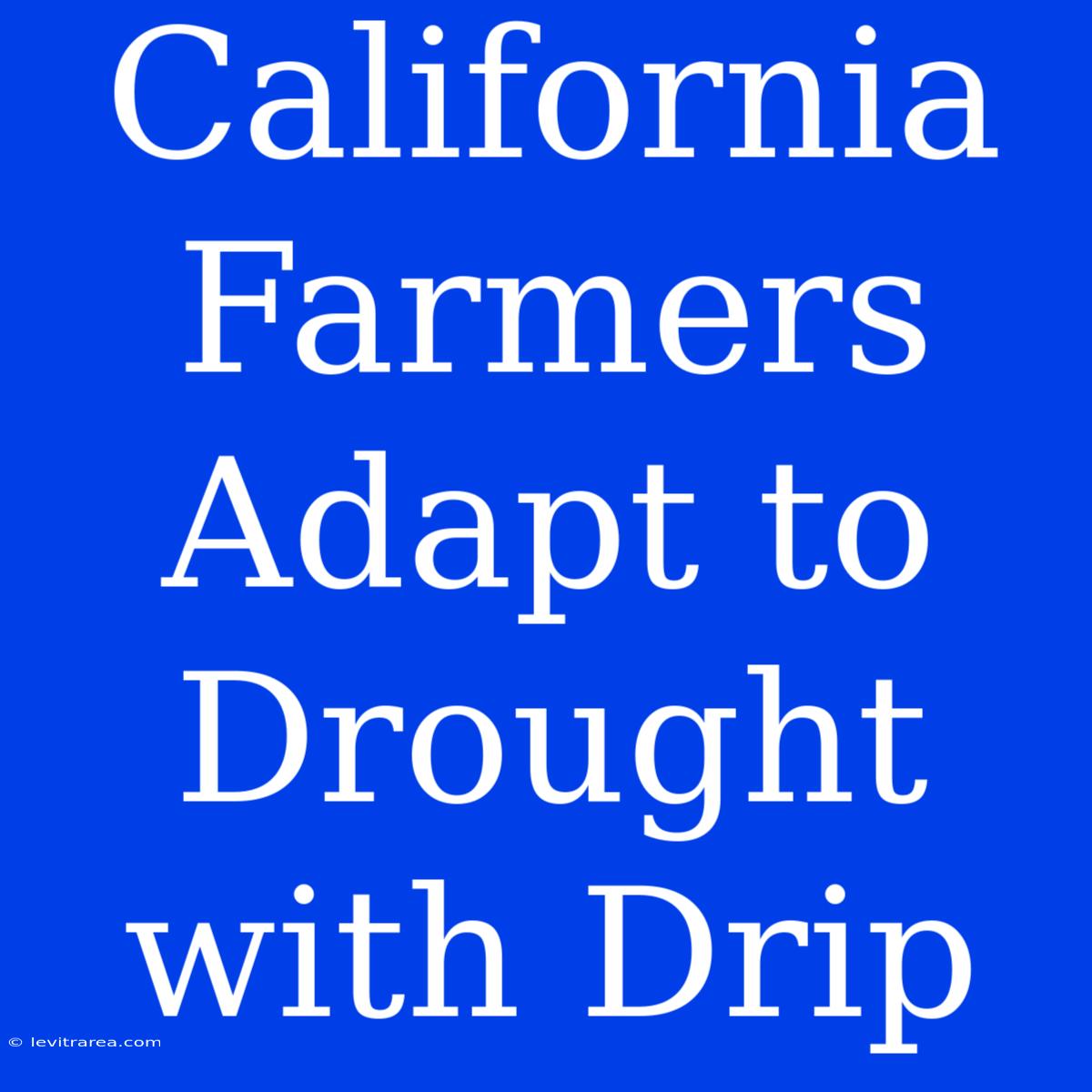 California Farmers Adapt To Drought With Drip