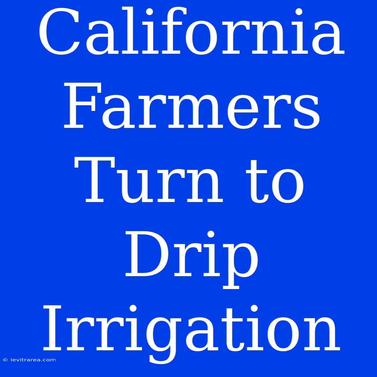 California Farmers Turn To Drip Irrigation