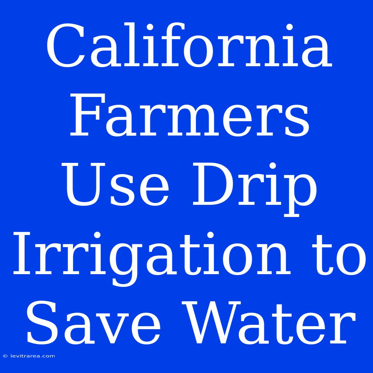 California Farmers Use Drip Irrigation To Save Water