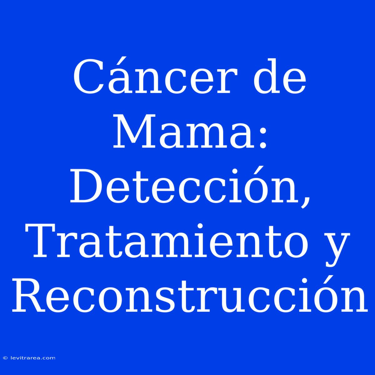 Cáncer De Mama: Detección, Tratamiento Y Reconstrucción