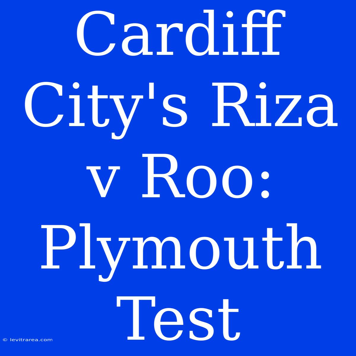 Cardiff City's Riza V Roo: Plymouth Test