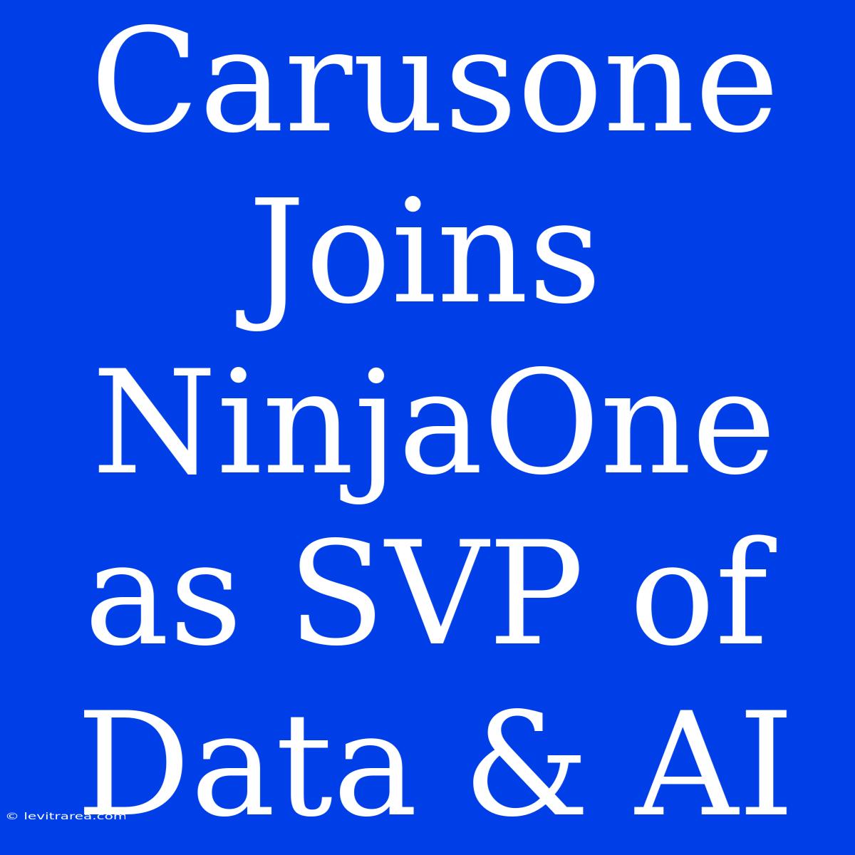 Carusone Joins NinjaOne As SVP Of Data & AI