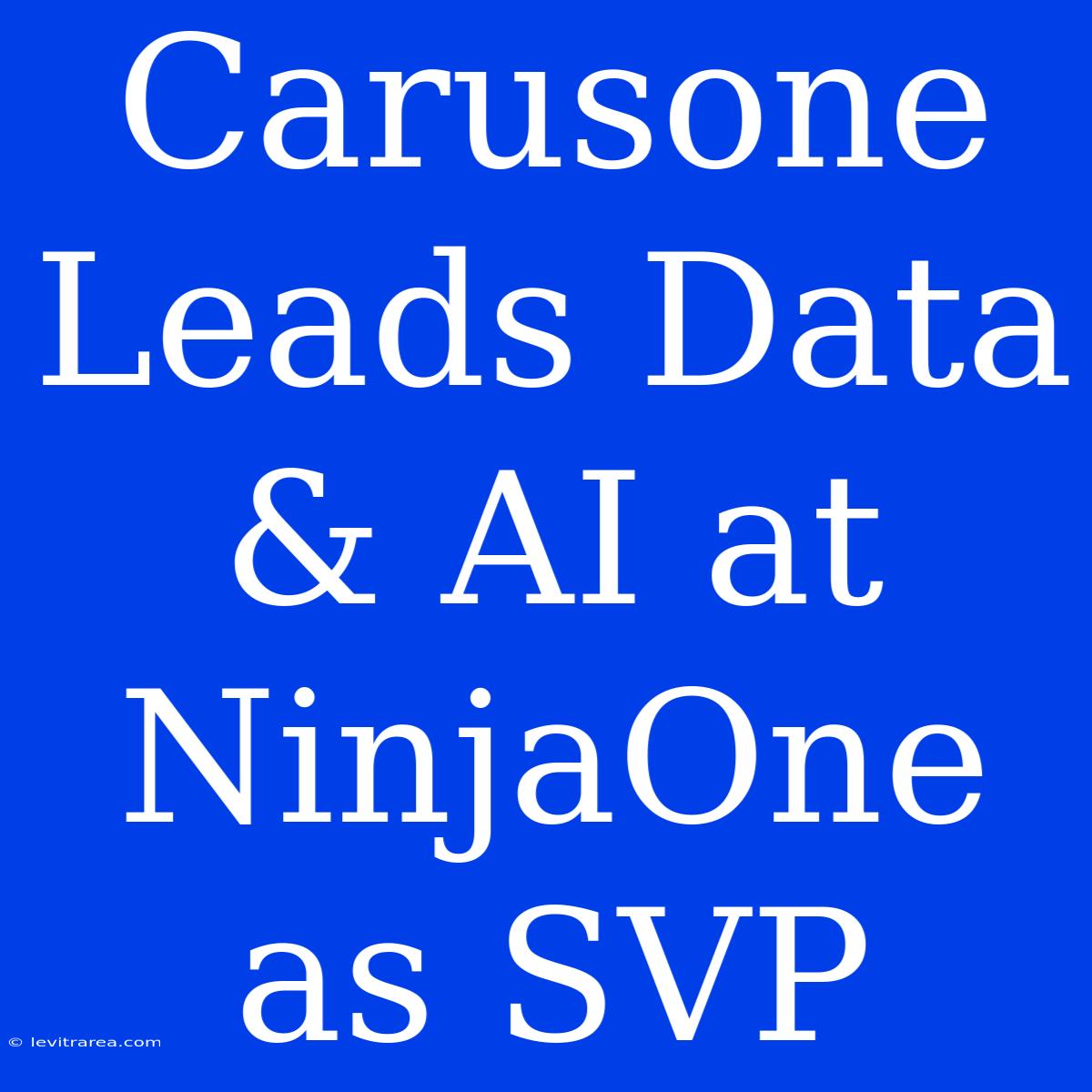 Carusone Leads Data & AI At NinjaOne As SVP