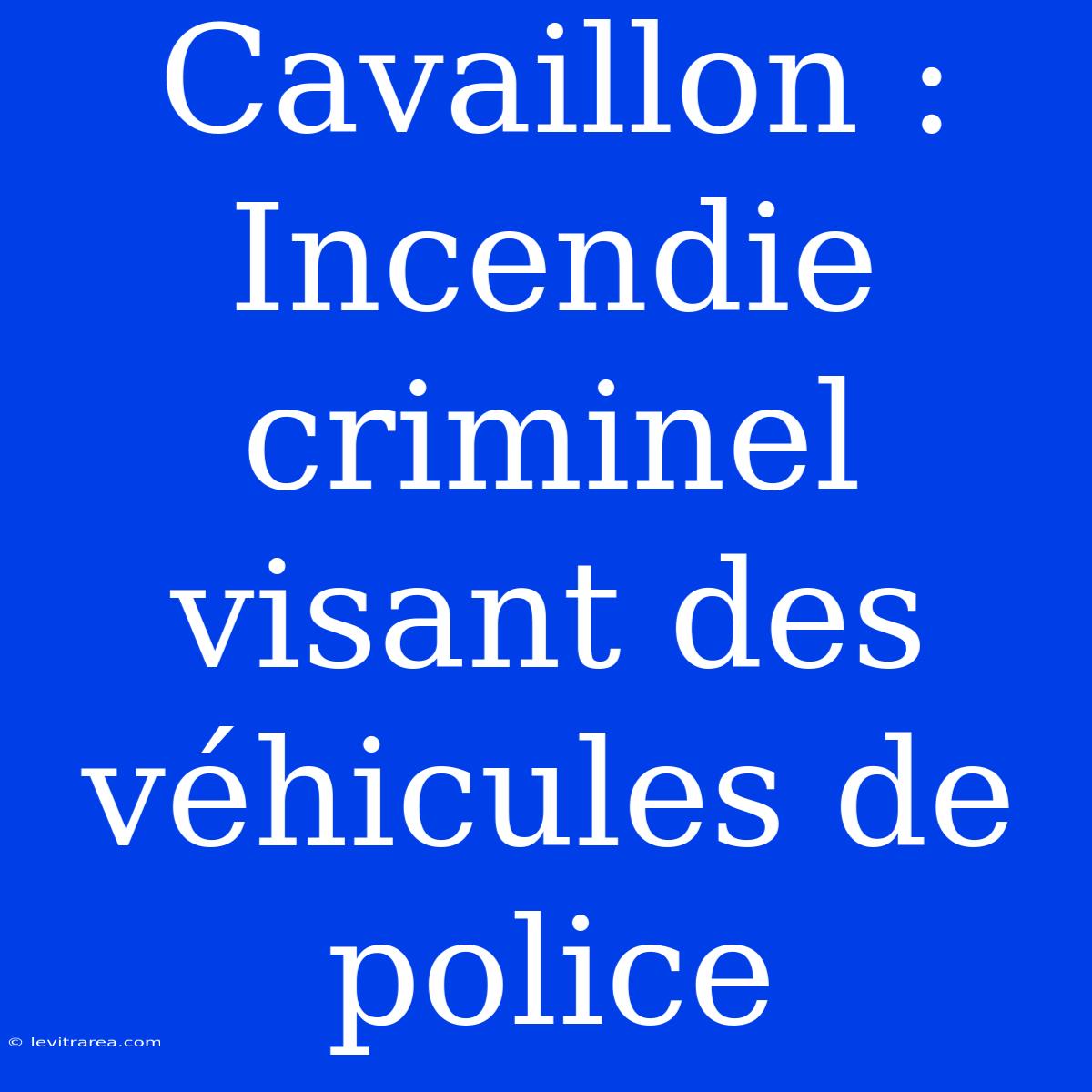 Cavaillon : Incendie Criminel Visant Des Véhicules De Police