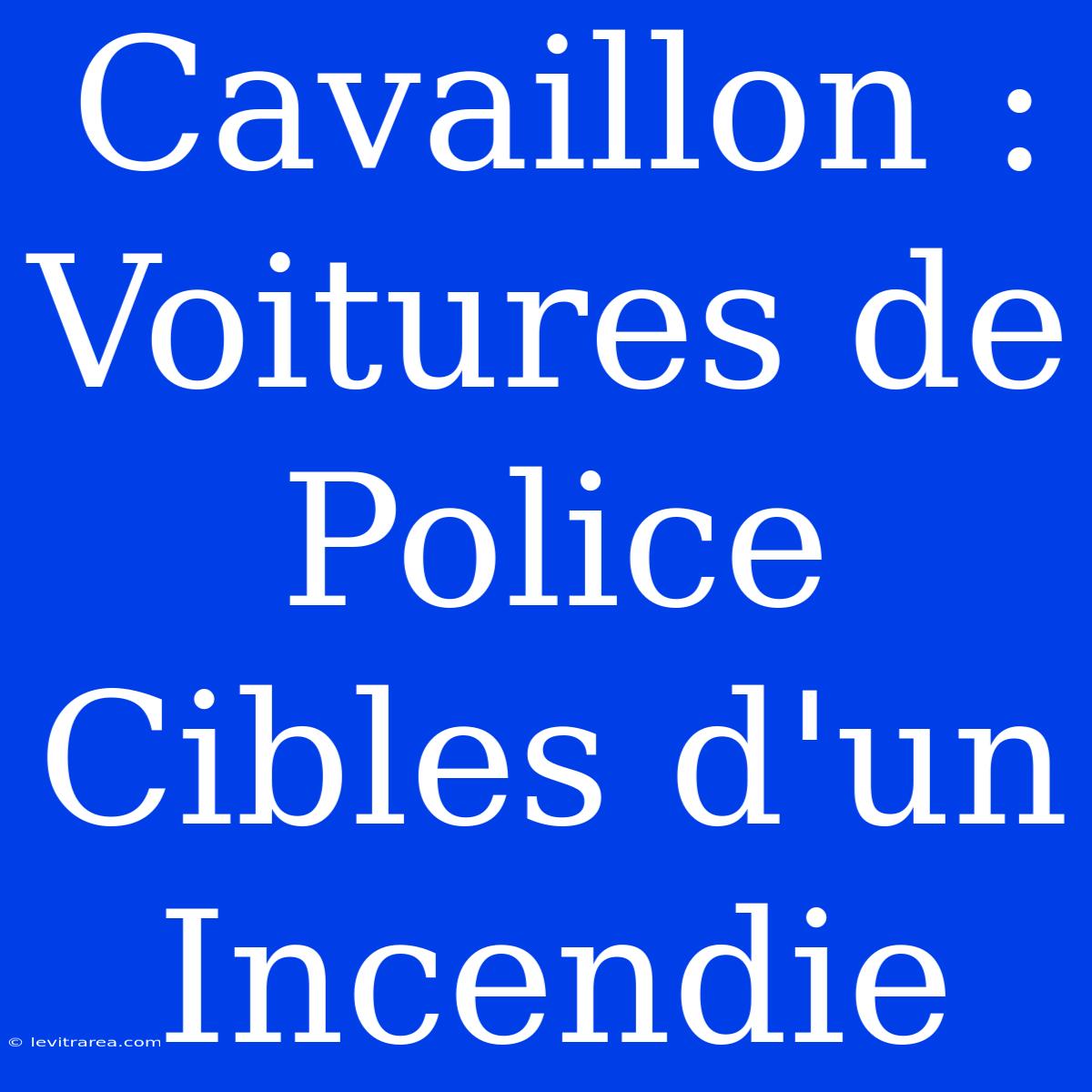 Cavaillon :  Voitures De Police Cibles D'un Incendie 