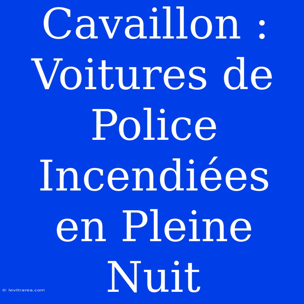 Cavaillon : Voitures De Police Incendiées En Pleine Nuit