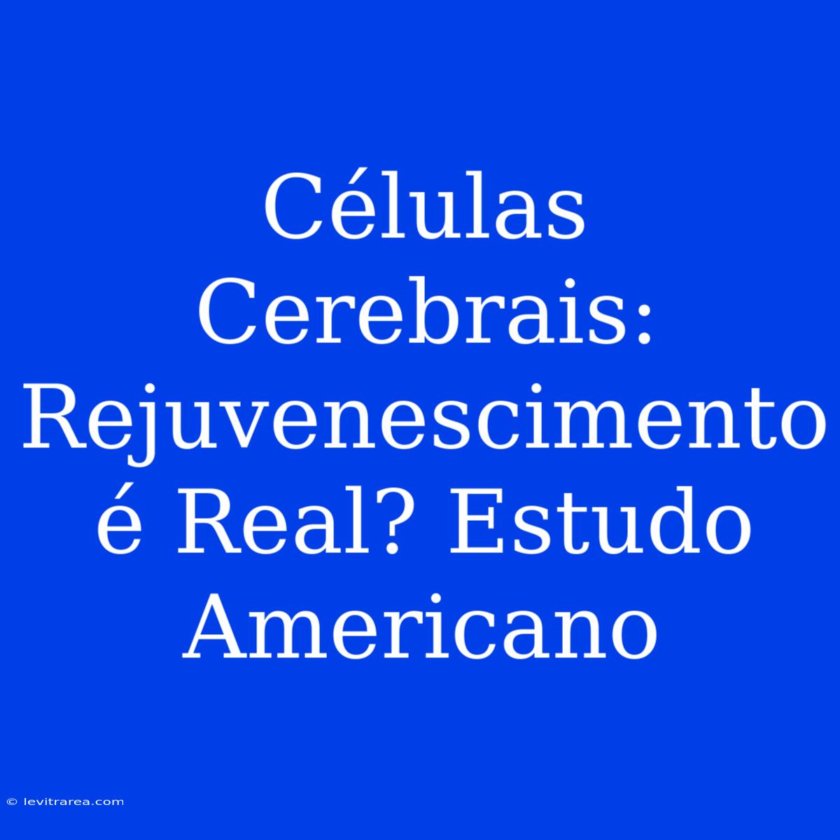 Células Cerebrais: Rejuvenescimento É Real? Estudo Americano