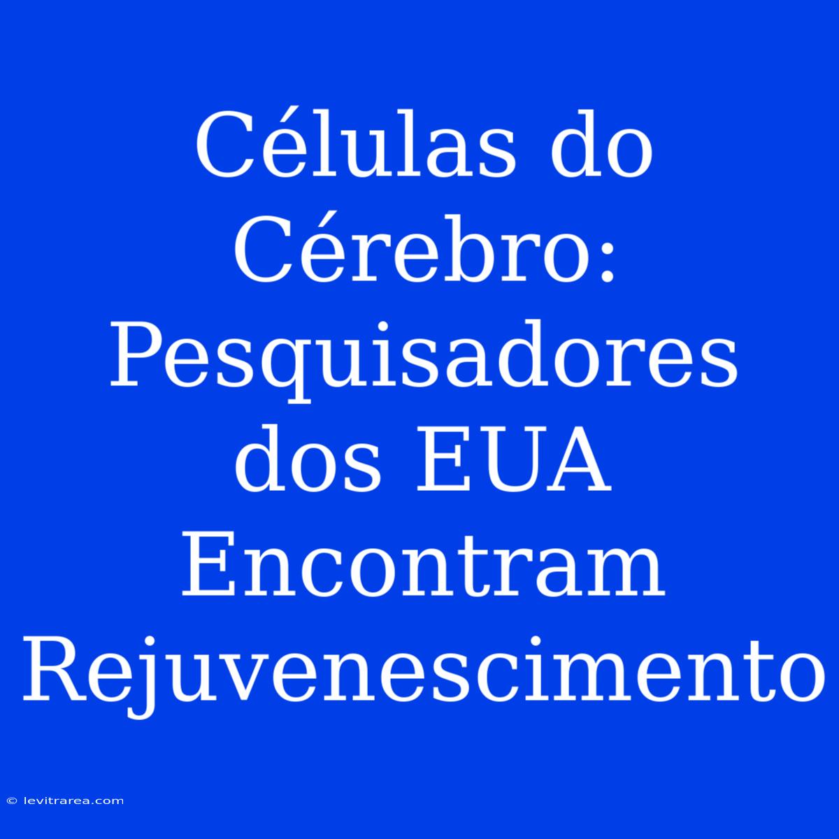 Células Do Cérebro: Pesquisadores Dos EUA Encontram Rejuvenescimento