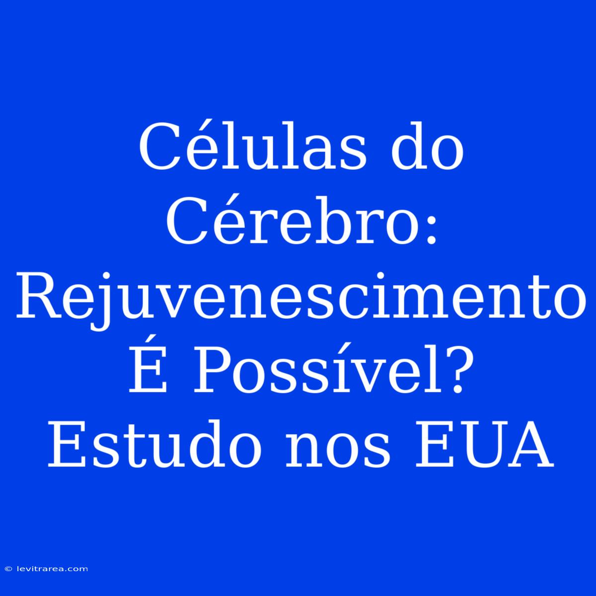 Células Do Cérebro: Rejuvenescimento É Possível? Estudo Nos EUA