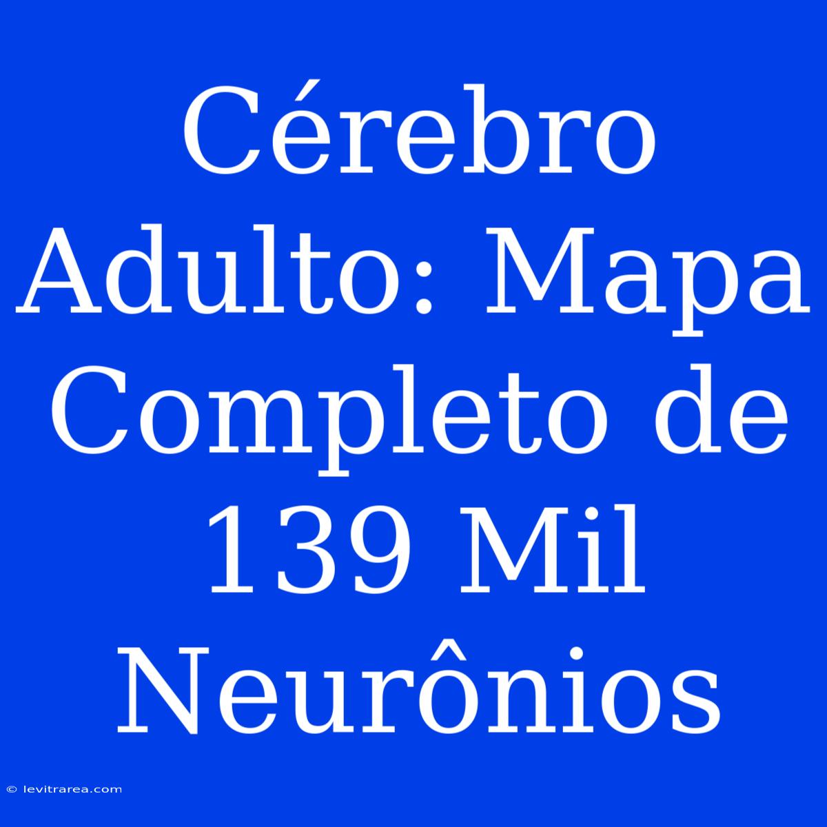 Cérebro Adulto: Mapa Completo De 139 Mil Neurônios