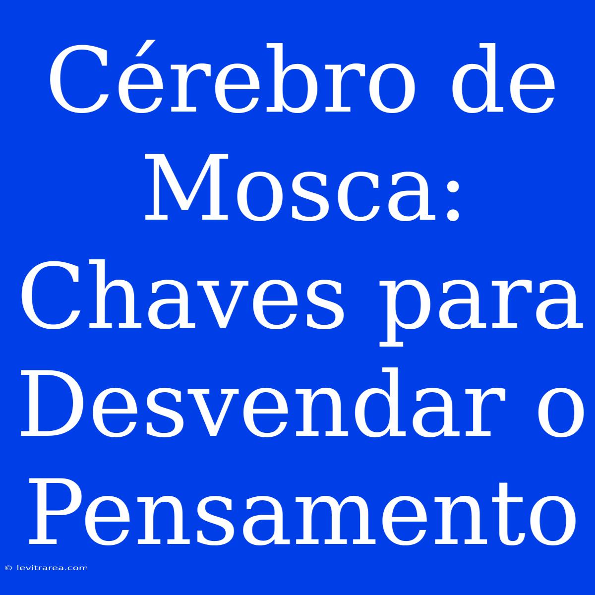 Cérebro De Mosca: Chaves Para Desvendar O Pensamento