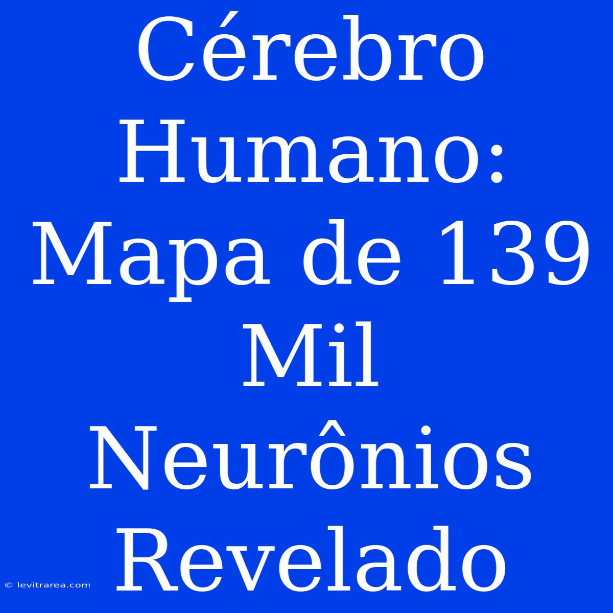 Cérebro Humano: Mapa De 139 Mil Neurônios Revelado