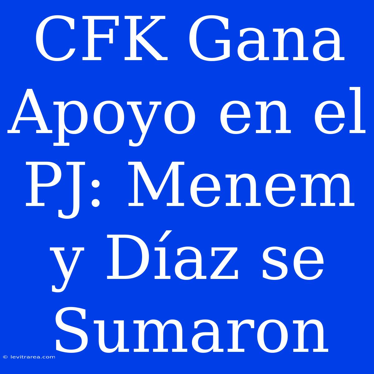 CFK Gana Apoyo En El PJ: Menem Y Díaz Se Sumaron