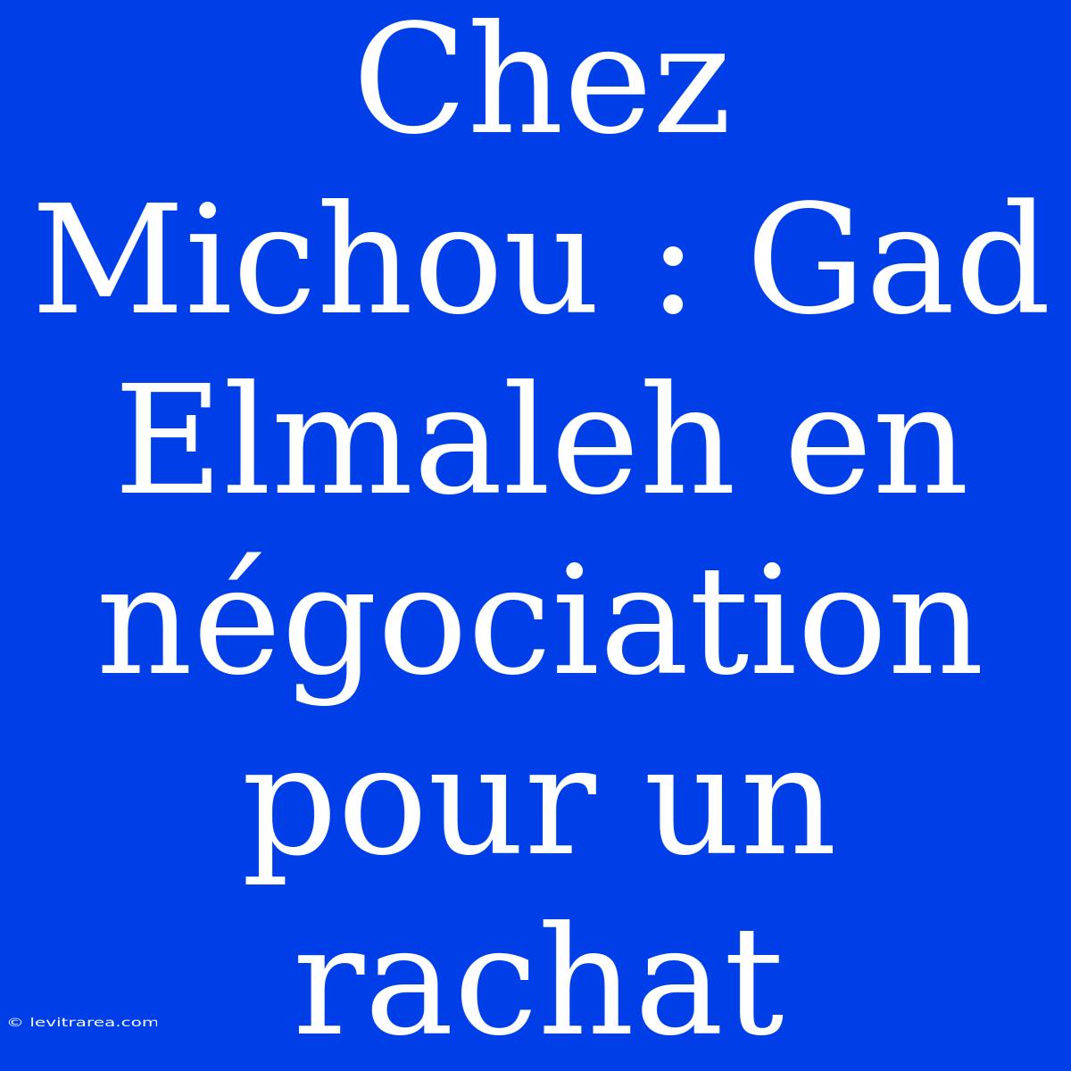 Chez Michou : Gad Elmaleh En Négociation Pour Un Rachat