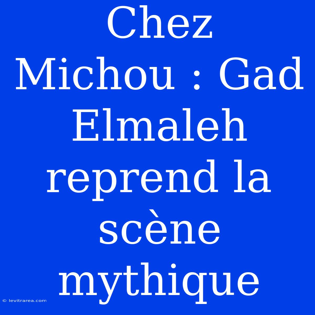 Chez Michou : Gad Elmaleh Reprend La Scène Mythique