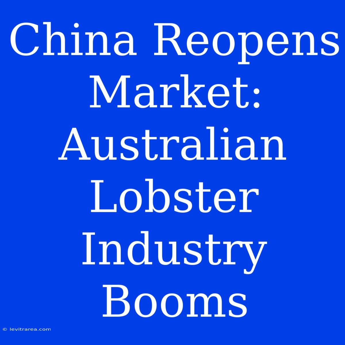 China Reopens Market: Australian Lobster Industry Booms