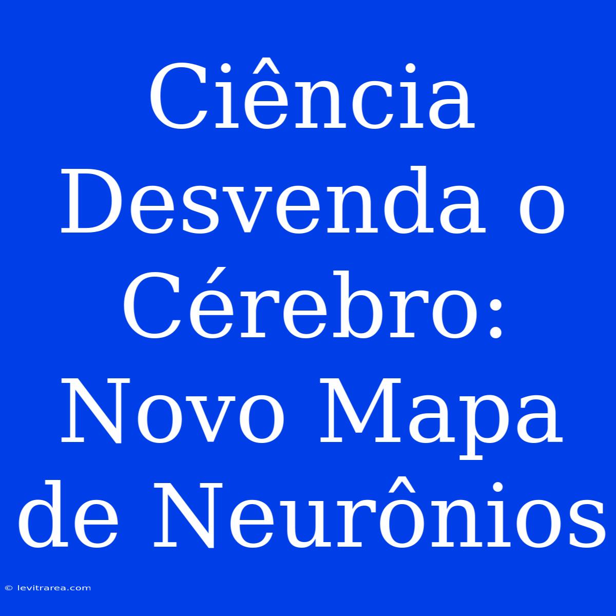 Ciência Desvenda O Cérebro: Novo Mapa De Neurônios