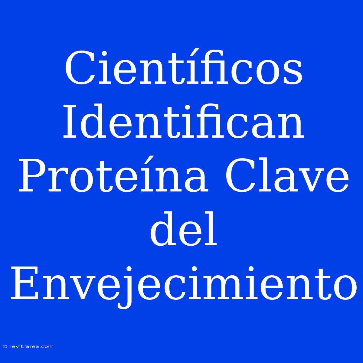 Científicos Identifican Proteína Clave Del Envejecimiento