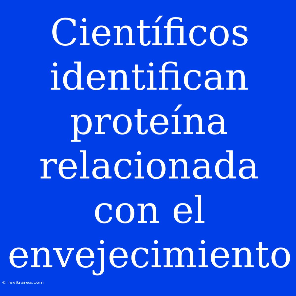 Científicos Identifican Proteína Relacionada Con El Envejecimiento