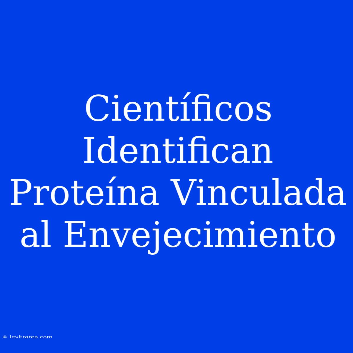 Científicos Identifican Proteína Vinculada Al Envejecimiento